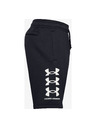 Under Armour Pánské kraťasy Under Armour Rival Flc Multilogo Short