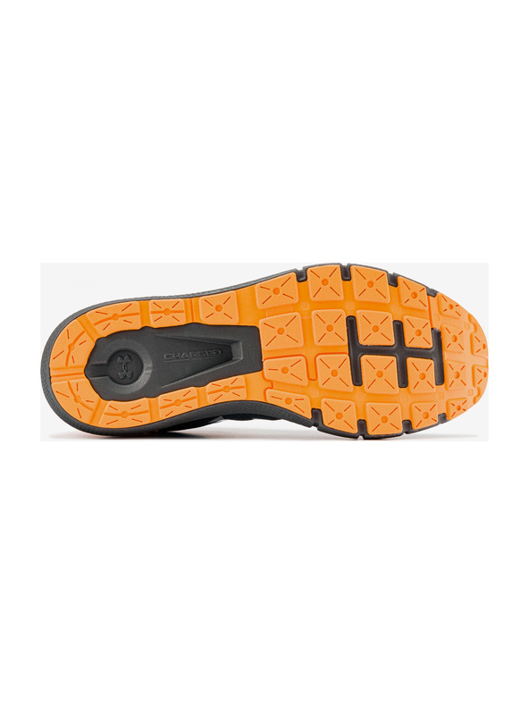 Under Armour Pánské boty Under Armour Charged Rogue 2 Storm