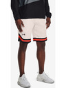 Under Armour Pánské kraťasy Under Armour RIVAL FLEECE AMP SHORT