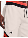 Under Armour Pánské kraťasy Under Armour RIVAL FLEECE AMP SHORT