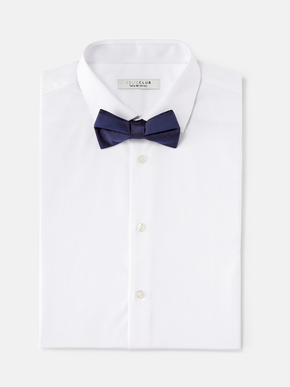 Celio Bibow2 Motýlek