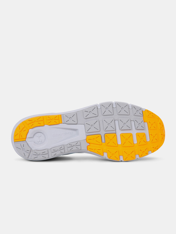 Under Armour Pánské boty Under Armour UA Charged Rogue 2.5 Storm