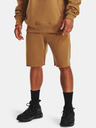 Under Armour Pánské kraťasy Under Armour UA ORIGINATORS SHORT