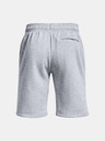 Under Armour Pánské kraťasy Under Armour UA Rival Flc Graphic Short