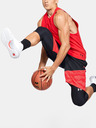 Under Armour Pánské kraťasy Under Armour Baseline 10IN Short