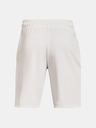 Under Armour Pánské kraťasy Under Armour RIVAL TERRY CLLGT SHORT