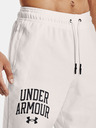 Under Armour Pánské kraťasy Under Armour RIVAL TERRY CLLGT SHORT