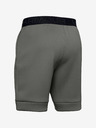 Under Armour Pánské kraťasy Under Armour Move Shorts