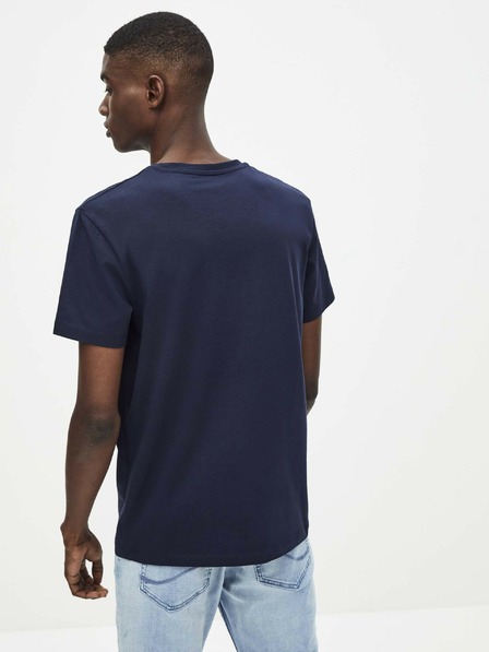 Celio Neunir Triko