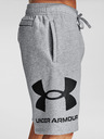 Under Armour Pánské kraťasy Under Armour Rival FLC Big Logo Shorts