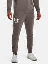 Under Armour Pánské tepláky Under Armour UA Rival Terry Jogger