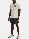 Under Armour Pánské tričko Under Armour UA Destroy All Miles Tee