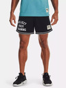 Under Armour Pánské kraťasy Under Armour Pjt Rck Penny Mesh Sts TG