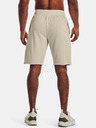 Under Armour Pánské kraťasy Under Armour UA RIVAL TERRY SHORT