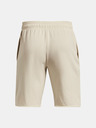 Under Armour Pánské kraťasy Under Armour UA RIVAL TERRY SHORT