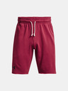Under Armour Pánské kraťasy Under Armour UA RIVAL TERRY SHORT