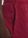 Under Armour Pánské kraťasy Under Armour UA RIVAL TERRY SHORT