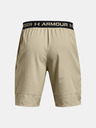 Under Armour Pánské kraťasy Under Armour UA Vanish Woven 8in Shorts
