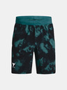 Under Armour Pánské kraťasy Under Armour Pjt Rock Printed Wvn Short