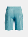 Under Armour Pánské kraťasy Under Armour UA Tech Mesh Shorts