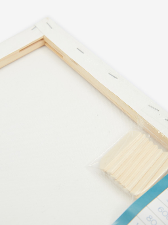 SIFCON Malířské plátno na rámu SIFCON 50x40x1,5