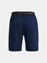 Under Armour Pánské kraťasy Under Armour UA Vanish Woven 8in Shorts