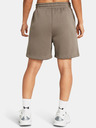 Under Armour Dámské kraťasy Under Armour UA Essl Flc Relax BF Short