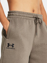 Under Armour Dámské kraťasy Under Armour UA Essl Flc Relax BF Short