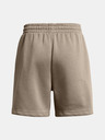 Under Armour Dámské kraťasy Under Armour UA Essl Flc Relax BF Short