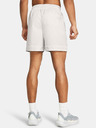 Under Armour Pánské kraťasy Under Armour Curry Woven Short