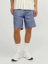 Jack & Jones Světle modré pánské chino kraťasy s příměsí lnu Jack & Jones Ace