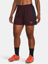 Under Armour Dámské kraťasy Under Armour UA W's Ch. Knit Short