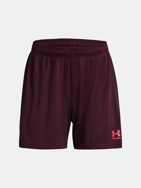 Under Armour Dámské kraťasy Under Armour UA W's Ch. Knit Short