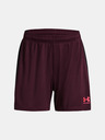 Under Armour Dámské kraťasy Under Armour UA W's Ch. Knit Short