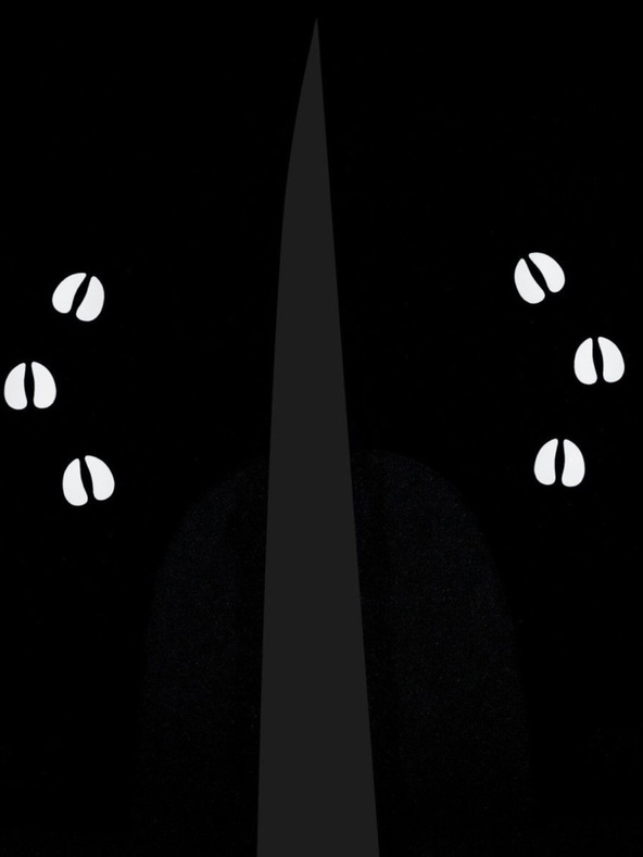 Kilpi Černé dětské lyžařské kalhoty Kilpi CHARLIE