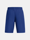 Under Armour Chlapecké kraťasy Under Armour UA Tech Woven Wordmark Short