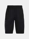 Under Armour Chlapecké kraťasy Under Armour Prototype 2.0 Wdmk Shorts