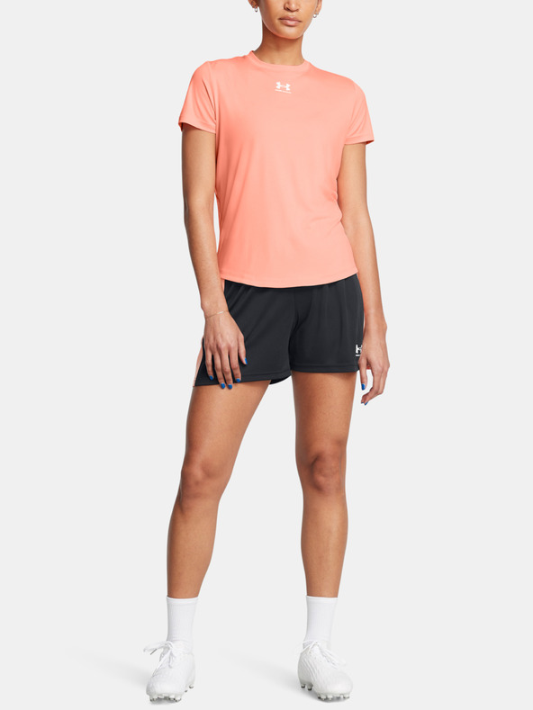 Under Armour Dámské kraťasy Under Armour UA W's Ch. Knit Short