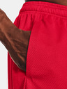 Under Armour Pánské kraťasy Under Armour Tech Mesh Short