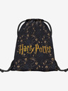 BAAGL  Modrý vak Baagl Harry Potter Pobertův Plánek