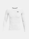 Under Armour Pánské kompresní tričko Under Armour HG Armour Comp LS