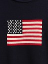 GAP Dětský svetr Americana GAP