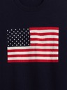 GAP Svetr Americana GAP