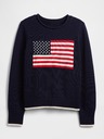 GAP Svetr Gap Americana GAP