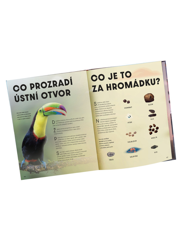 ELLA & MAX Velký obrazový průvodce ZVÍŘATA