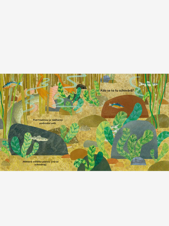 ELLA & MAX Kdo se to tu schovává? U ŘEKY – Knížka s odklápěcími okénky