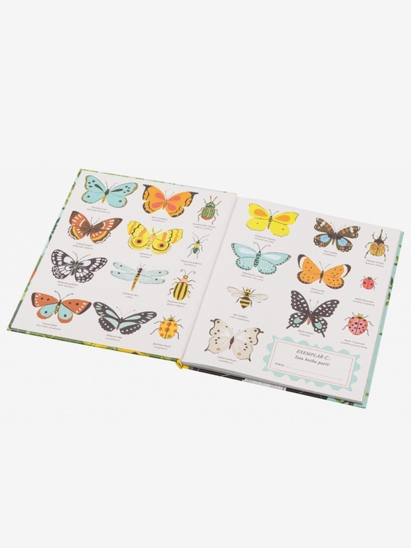 ELLA & MAX O VZNIKU DRUHŮ – Darwinova teorie pro děti