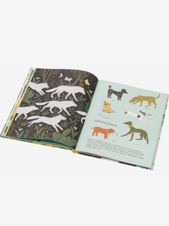 ELLA & MAX O VZNIKU DRUHŮ – Darwinova teorie pro děti