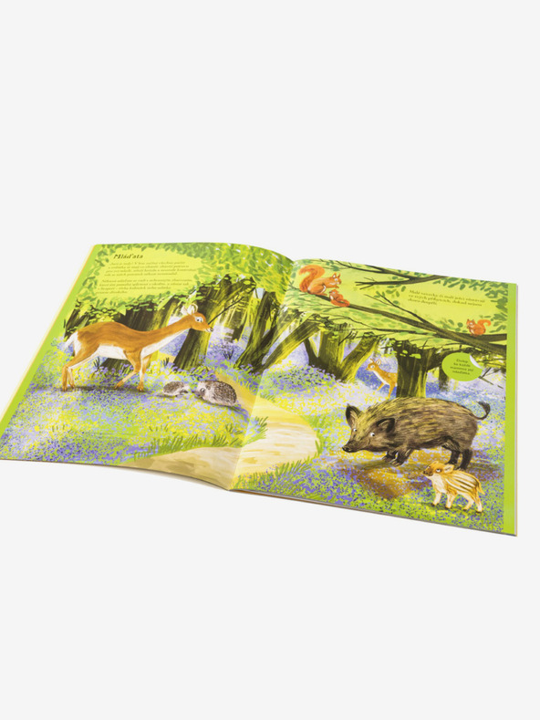 ELLA & MAX JEŽCI, UŠÁCI a další chlupáči – Kniha samolepek