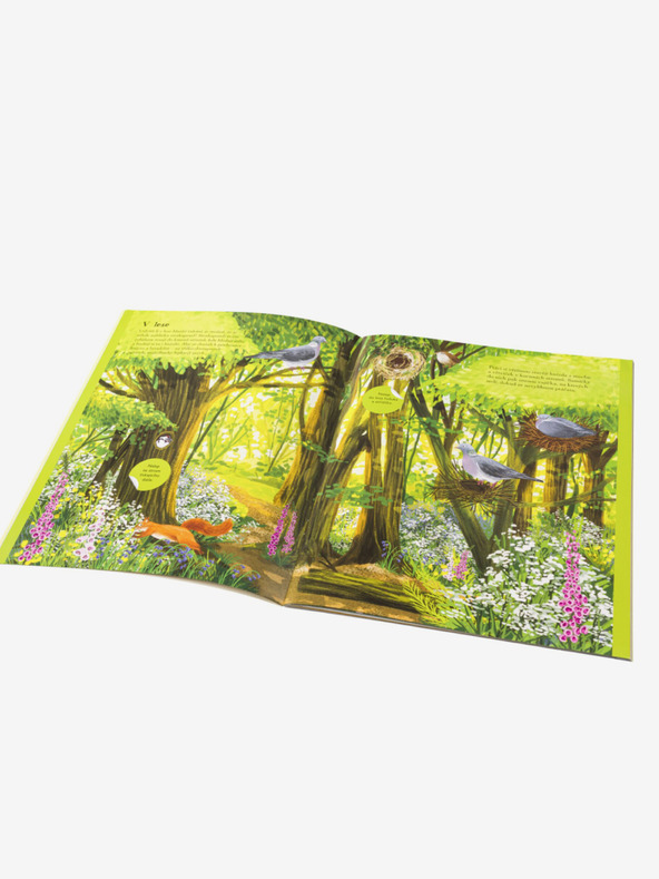 ELLA & MAX SÝKORKY, VRABČÁCI a další zpěváčci – Kniha samolepek